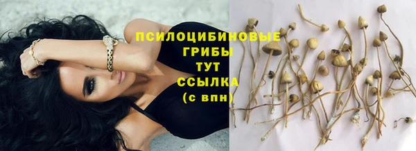 хмурый Дмитриев