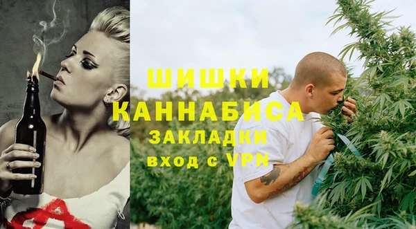 хмурый Дмитриев
