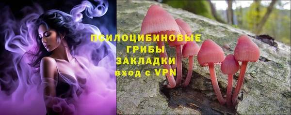 хмурый Дмитриев