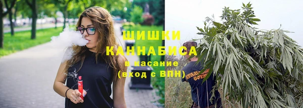 хмурый Дмитриев