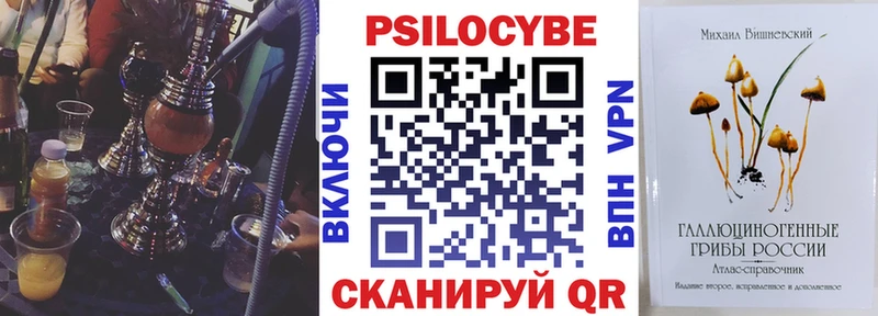 Купить где  Энем  Галлюциногенные грибы GOLDEN TEACHER 